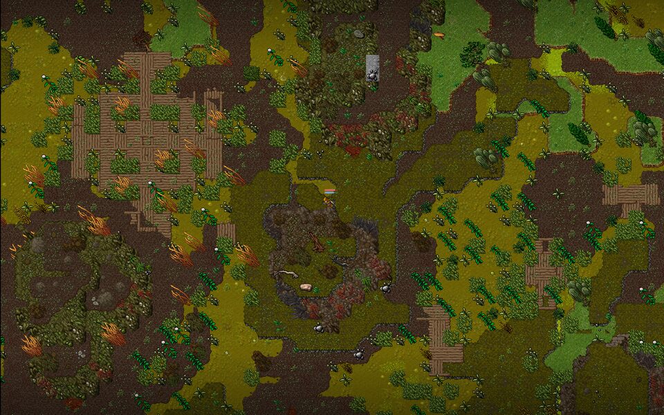 Wooden walkways across a poisoned swamp.